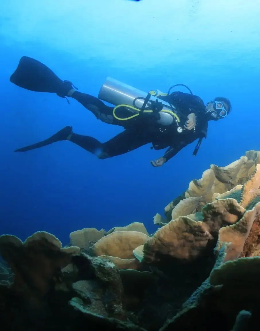 Felsige Küste Madeiras am Atlantik